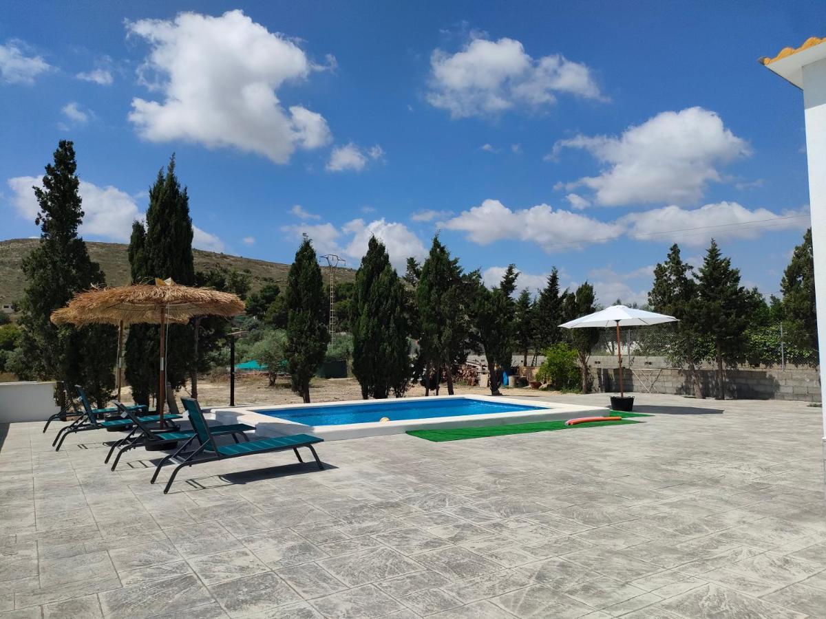 Casa Rural Con Piscina Climatizada Y Barbacoa A 10 Km De Alicante Y Playas, 3000 M2 De Terreno 엘체 외부 사진